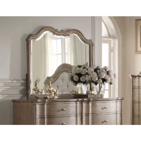 Chelmsford Mirror in Antique Taupe 26054 - as Pic