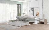 Twin or Double Twin Daybed with Trundle; White - White