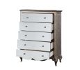 Esteban Chest in Antique Champagne 22206 - as Pic