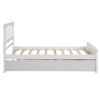 Twin size Platform Bed with Trundle - White