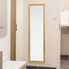 Full Length Mirror Door Mirror Full Body Dressing Mirror Wall Mounted Hanging for Dorm Home; 50&quot;x 14&quot;; Gold - as Pic